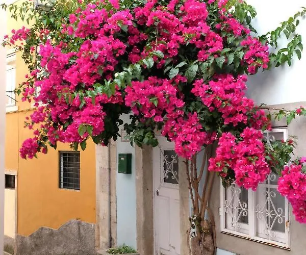 Proa D'alfama Apartmán *