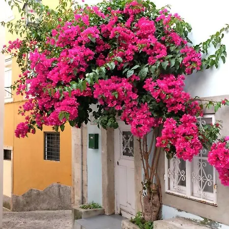 Proa D'alfama Апартаменти *